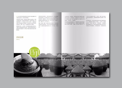 边府记 数字时代下满族传统美食的品牌基因创新与广告设计